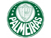 Tricou Palmeiras