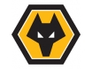 Tricou Wolves