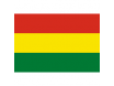 Tricou Nationala Bolivia